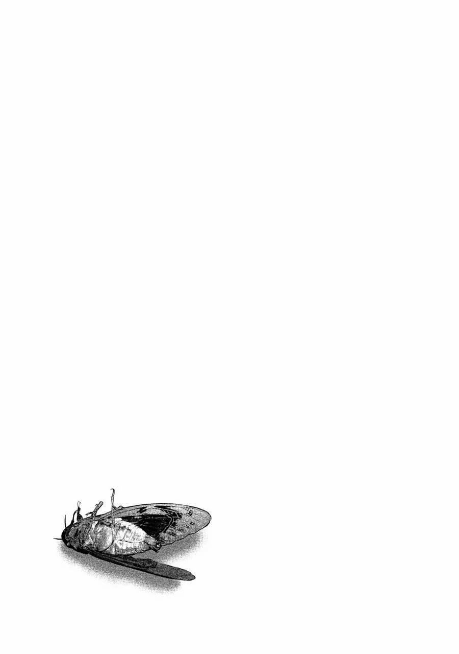 Home Room 44 trang 17