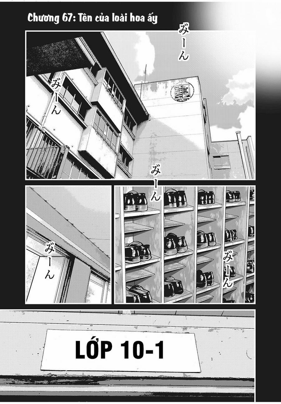 Home Room 67 trang 2