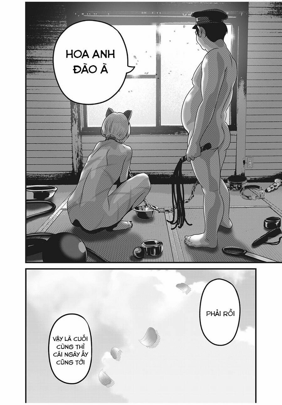 Home Room 85 trang 3