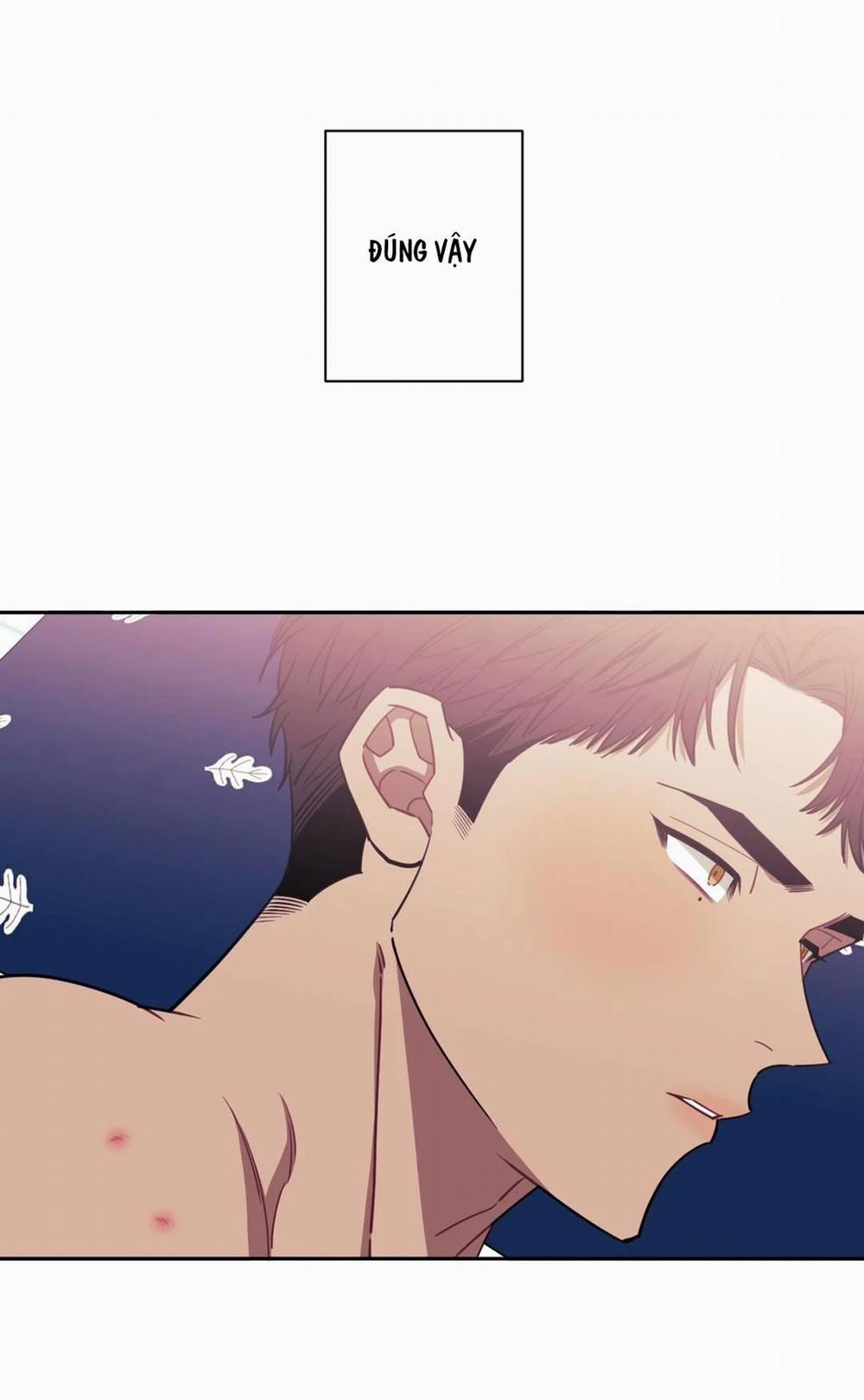 Hơn Cả Bạn Bè 13 trang 43