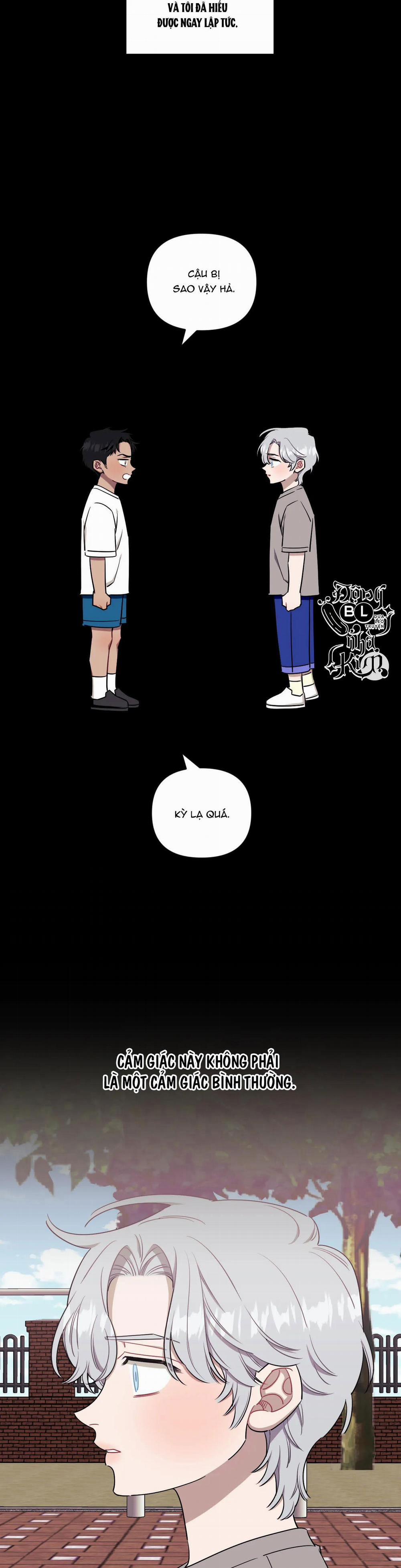 Hơn Cả Bạn Bè 48 trang 11