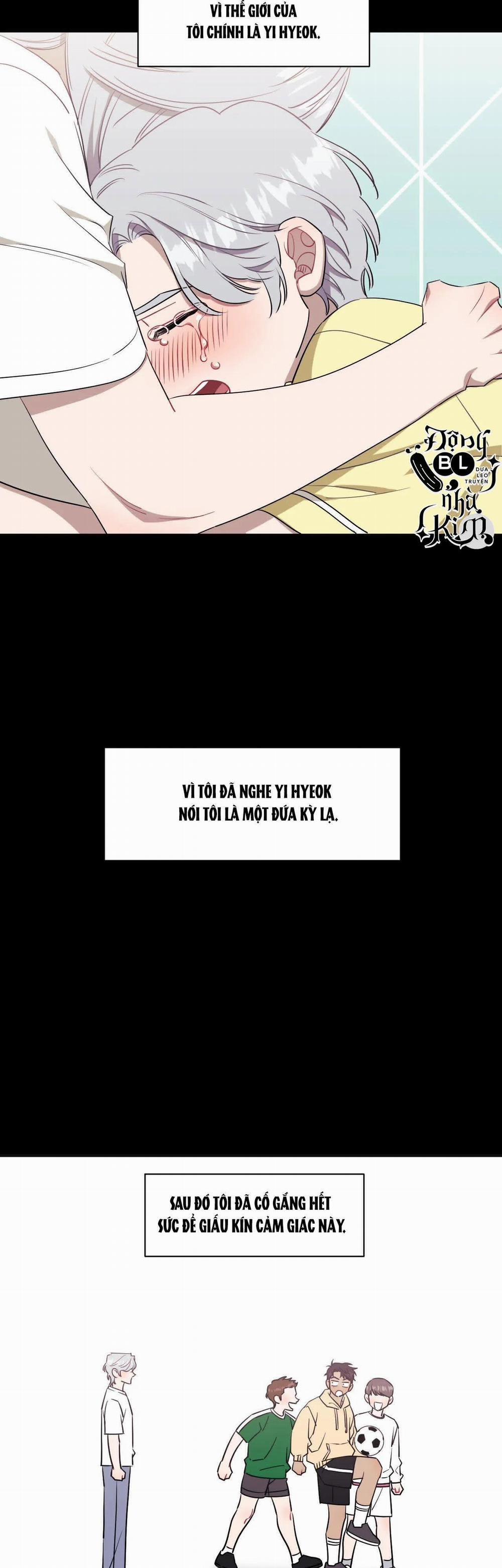 Hơn Cả Bạn Bè 48 trang 19