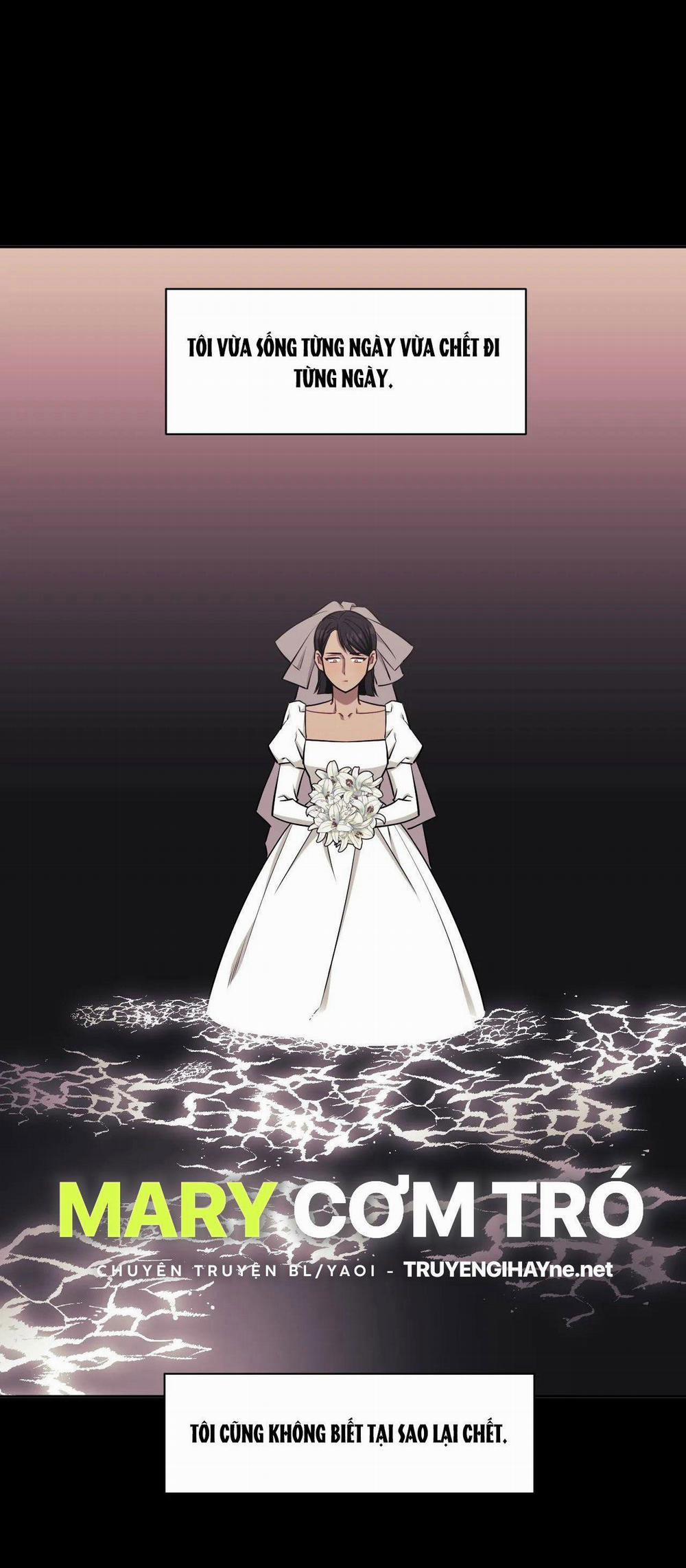 Hơn Cả Bạn Bè 51.2 trang 0