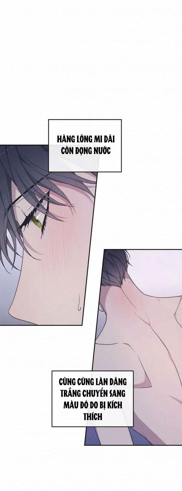 Hỗn Mộng 33.1 trang 11