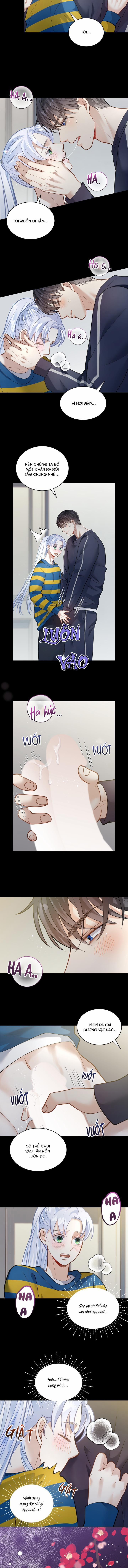 Hôn Nhân Bị Đánh Cắp Của Hồ Ly 31.1 trang 8