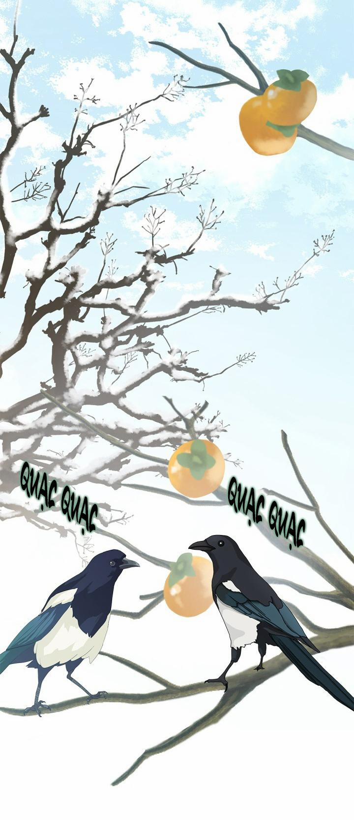 Hôn Nhân Bị Đánh Cắp Của Hồ Ly 32 trang 24