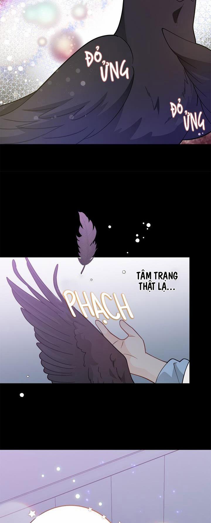 Hôn Nhân Bị Đánh Cắp Của Hồ Ly 34 trang 19