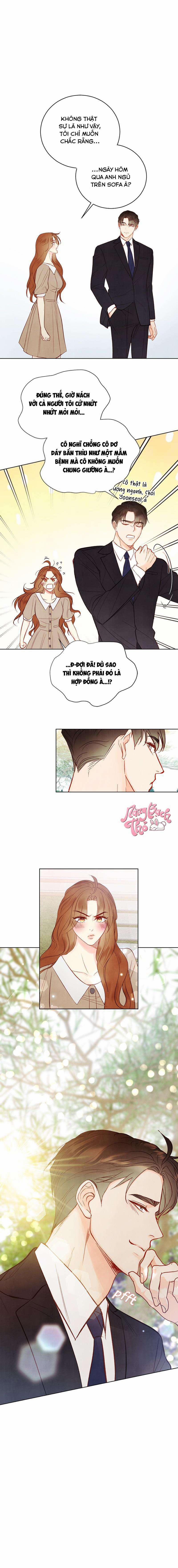 Hôn Nhân Bí Mật Giữa Chúng Ta 8 trang 11