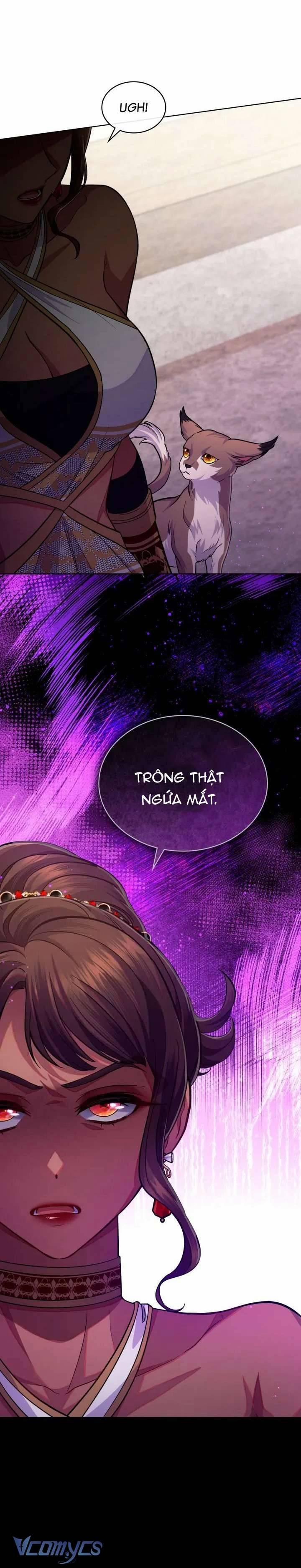 Hôn Nhân Giả Dối 63 trang 12