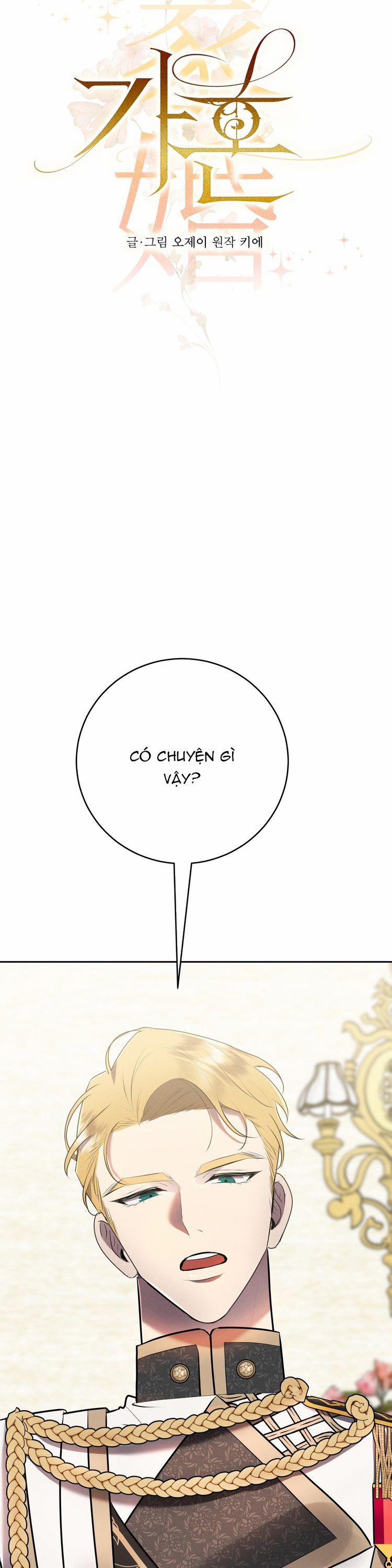 Hôn Nhân Gia Tộc 11 trang 4