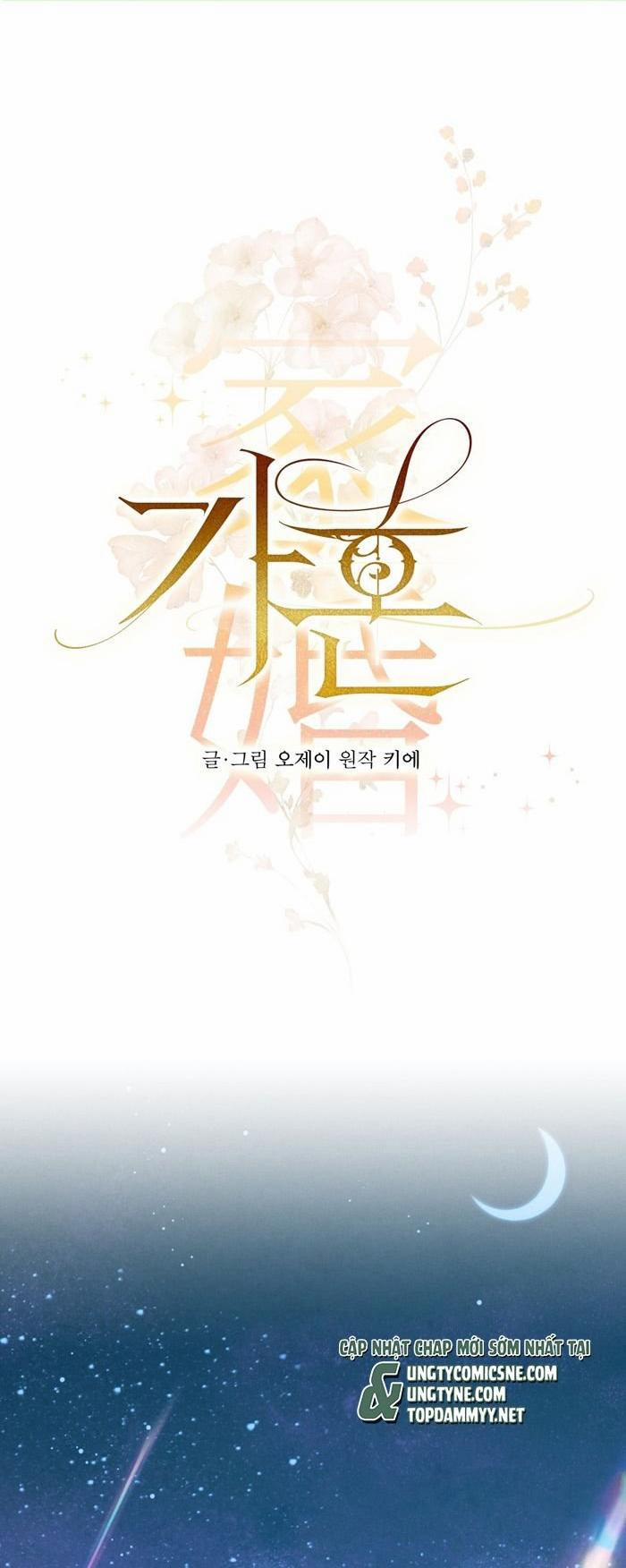 Hôn Nhân Gia Tộc 13 trang 0