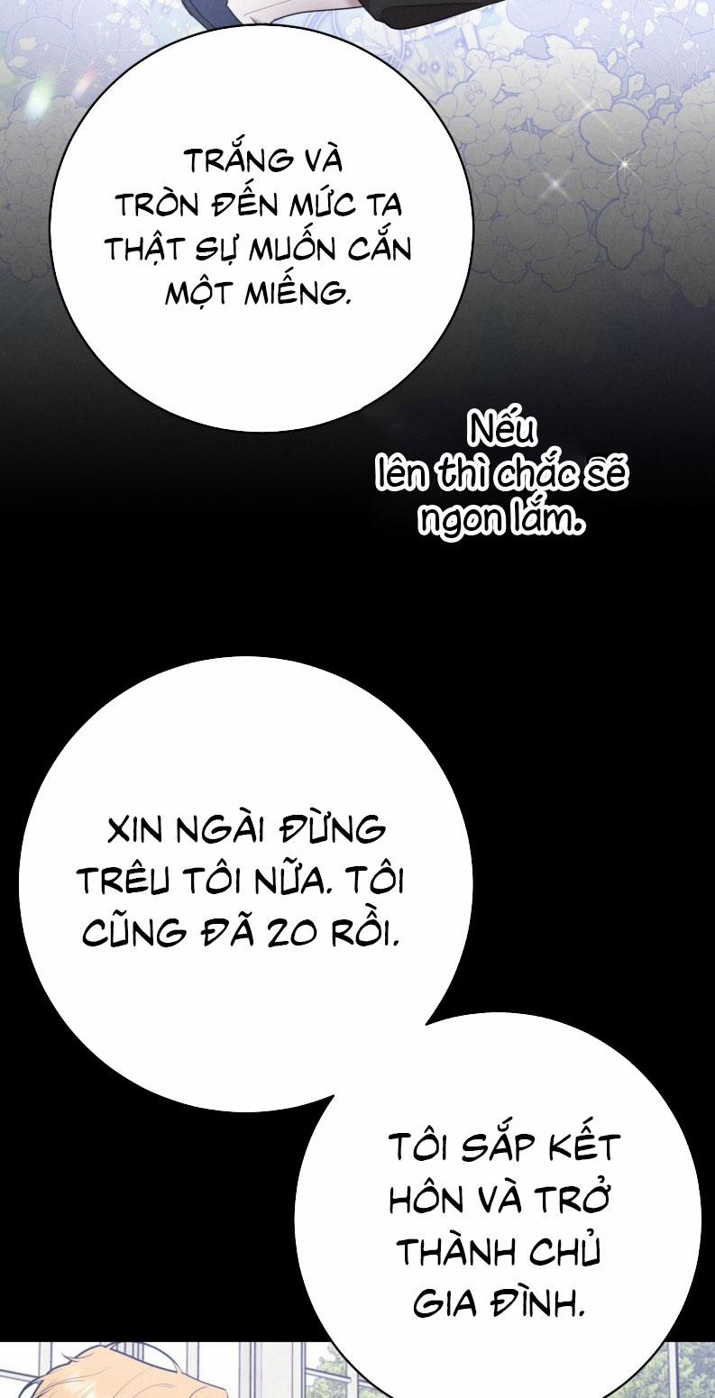 Hôn Nhân Gia Tộc 3 trang 13