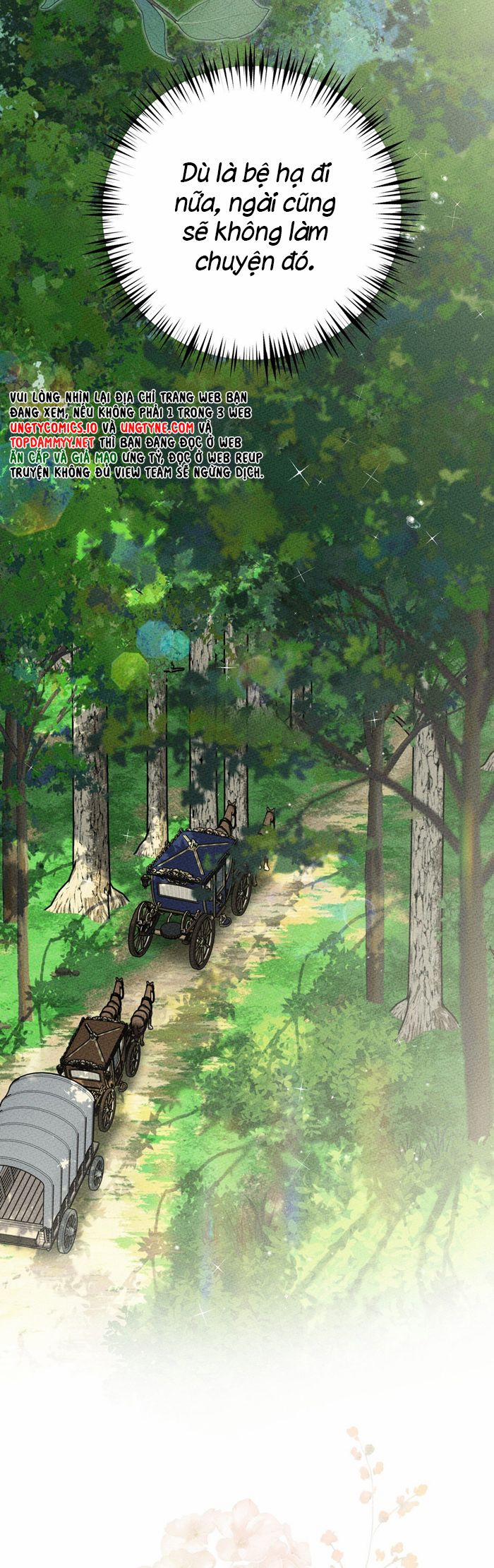 Hôn Nhân Gia Tộc 4 trang 11