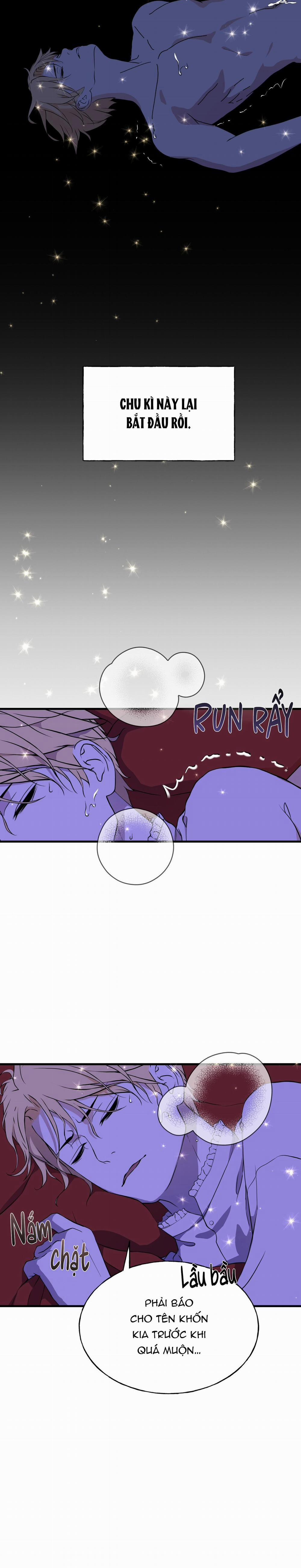 Hôn Nhân Hoàng Gia 5 trang 2