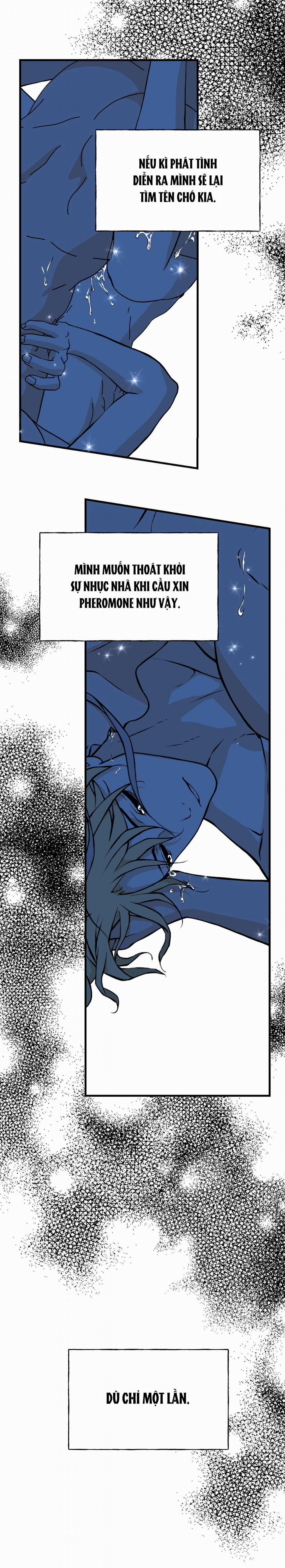 Hôn Nhân Hoàng Gia 5 trang 25