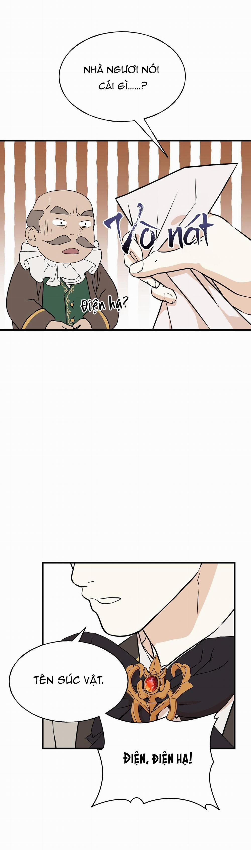 Hôn Nhân Hoàng Gia 8 trang 10