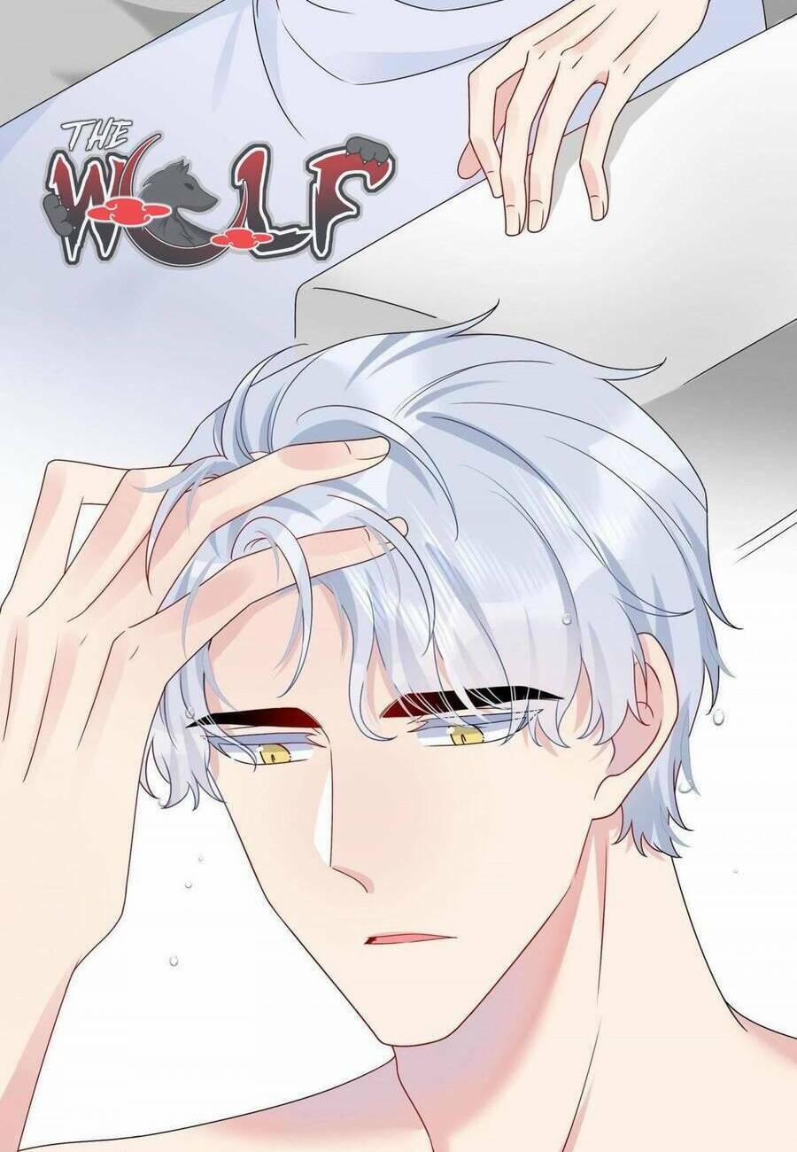 Hôn Nhân Hợp Đồng: Kết Hôn Với Thanh Mai Xảo Quyệt 15 trang 4