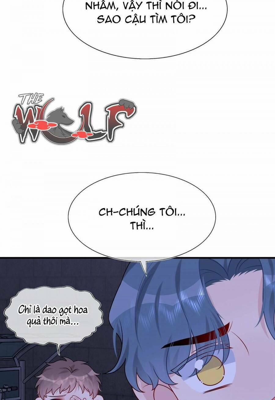 Hôn Nhân Hợp Đồng: Kết Hôn Với Thanh Mai Xảo Quyệt 16 trang 32