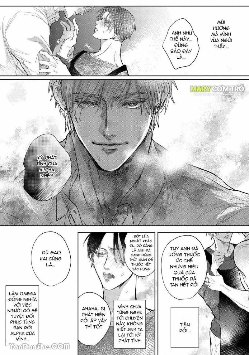 Hôn Nhân Không Gian Dối 1.1 trang 14