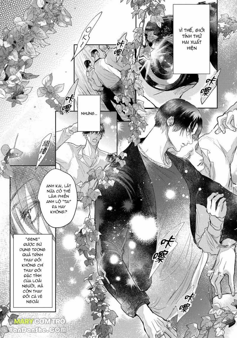 Hôn Nhân Không Gian Dối 1.1 trang 2