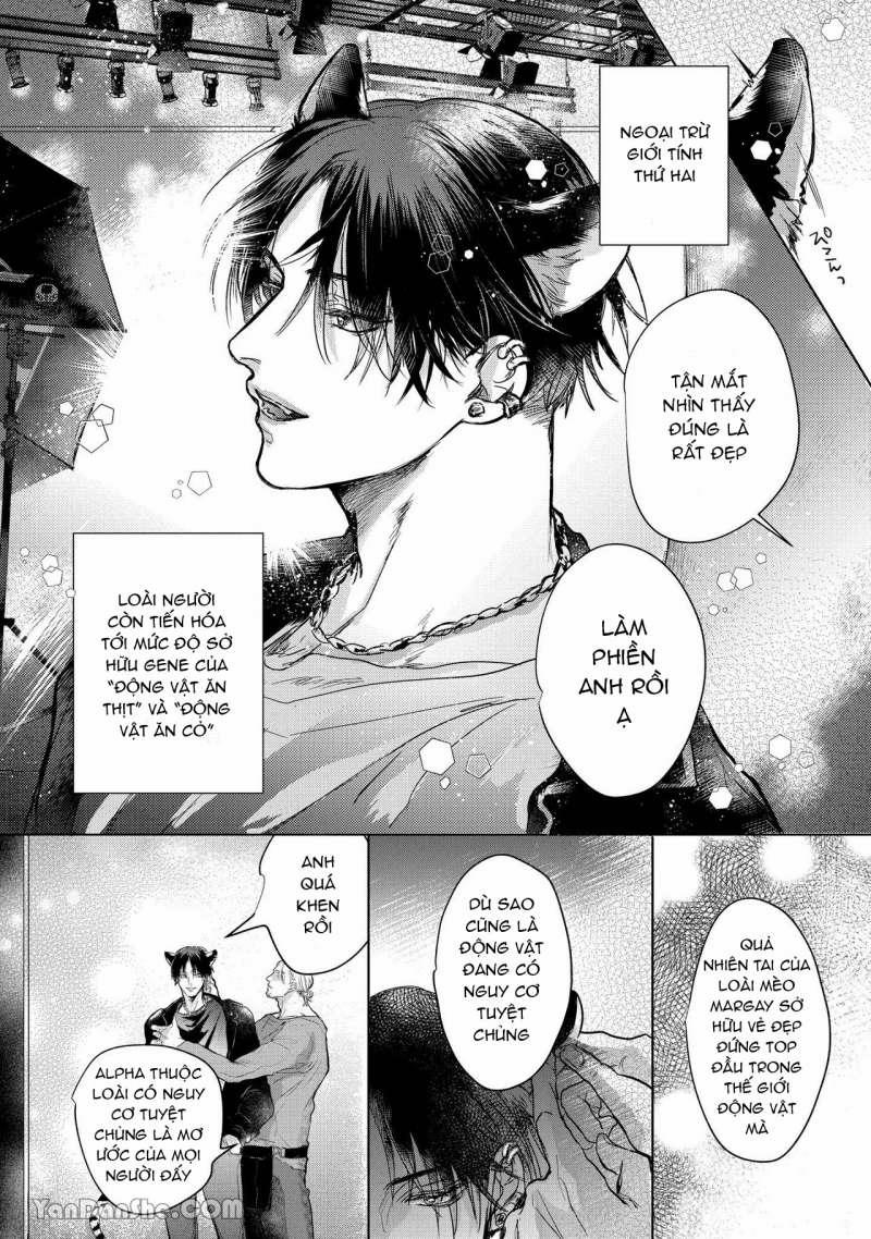 Hôn Nhân Không Gian Dối 1.1 trang 3