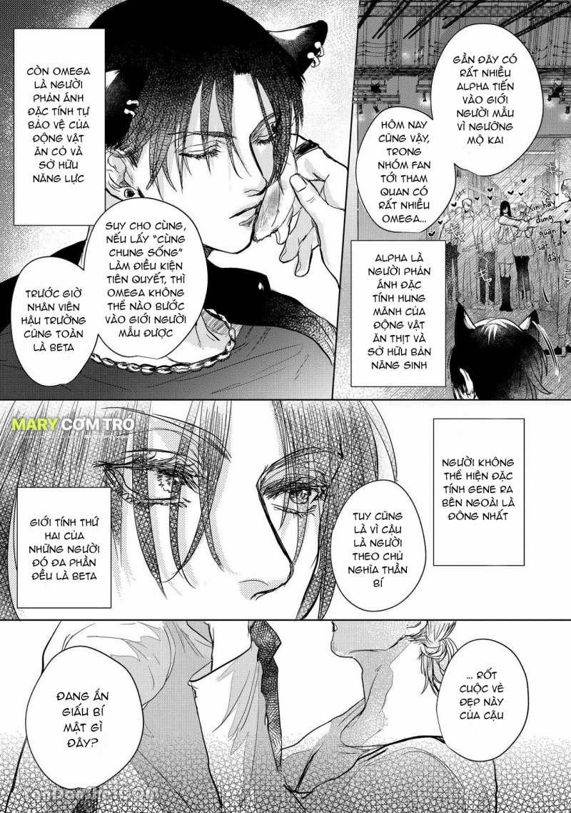 Hôn Nhân Không Gian Dối 1.1 trang 4