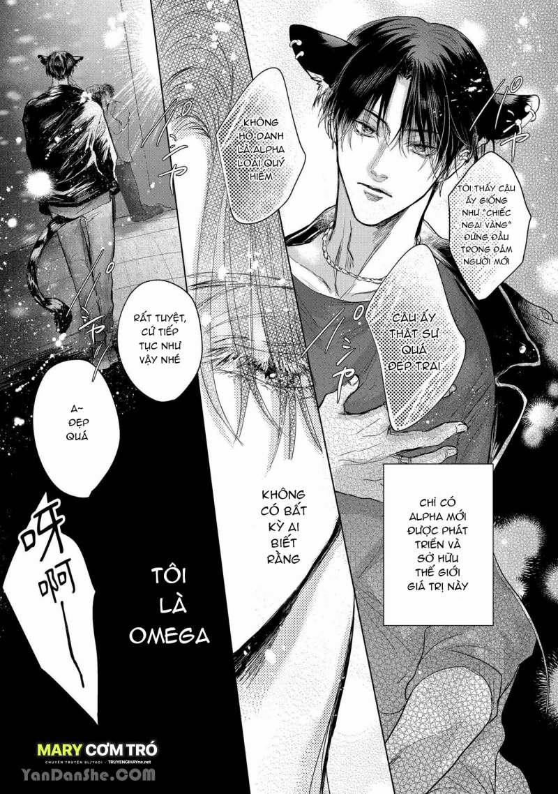 Hôn Nhân Không Gian Dối 1.1 trang 6