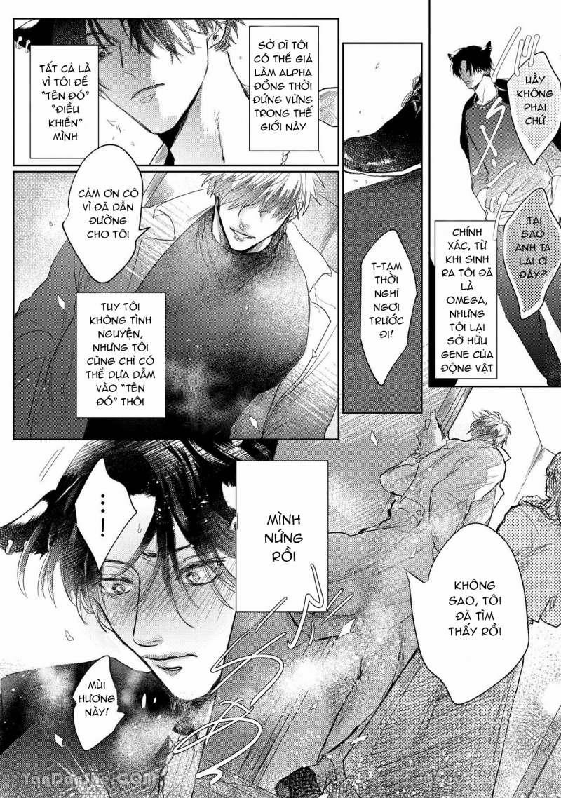 Hôn Nhân Không Gian Dối 1.1 trang 7