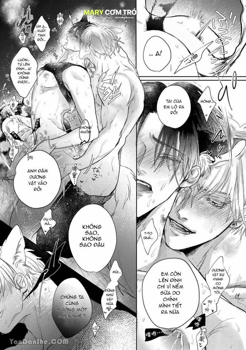 Hôn Nhân Không Gian Dối 1.2 trang 1