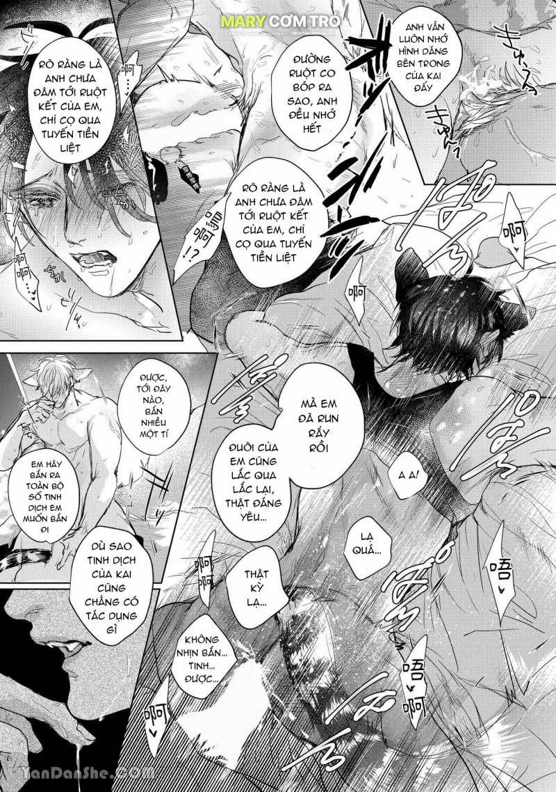 Hôn Nhân Không Gian Dối 1.2 trang 3