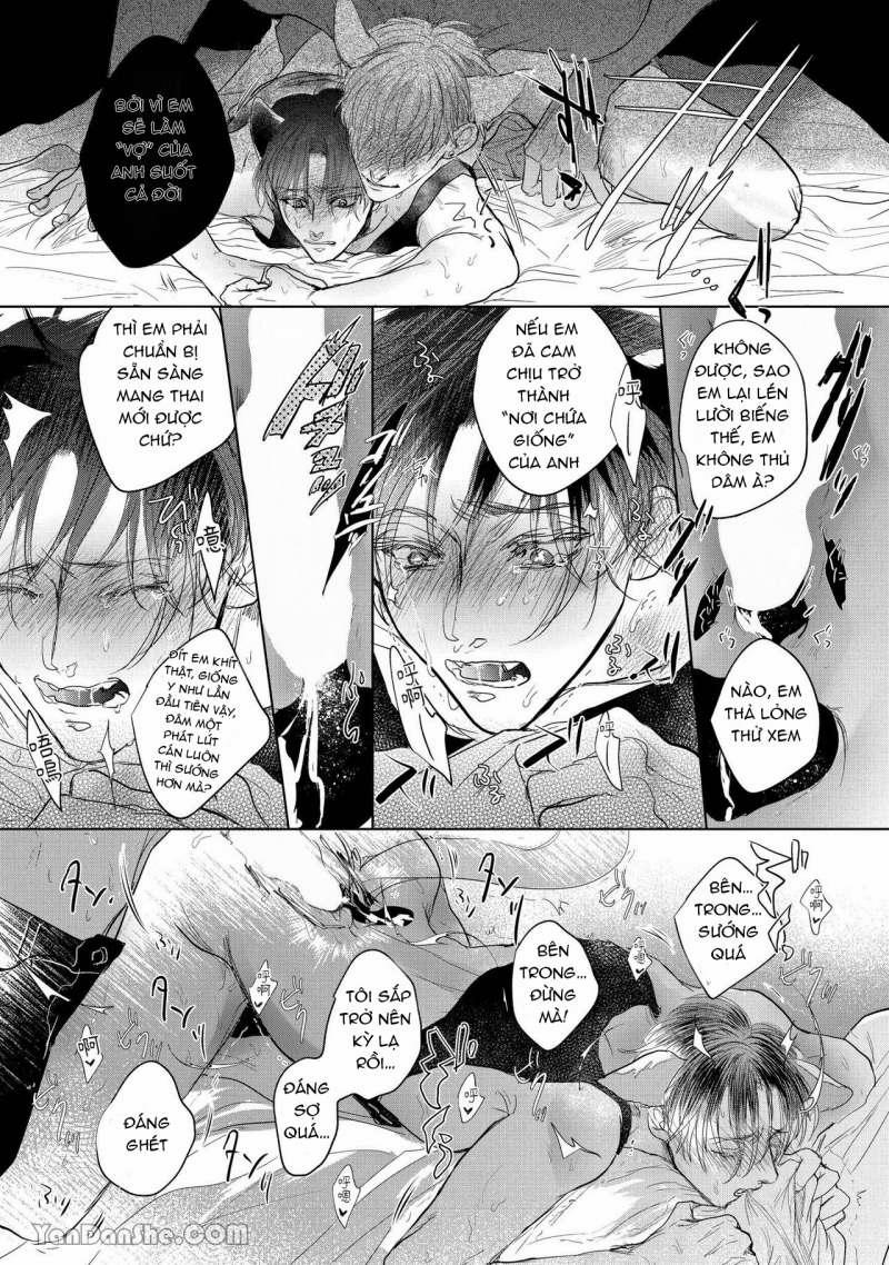 Hôn Nhân Không Gian Dối 1.2 trang 4