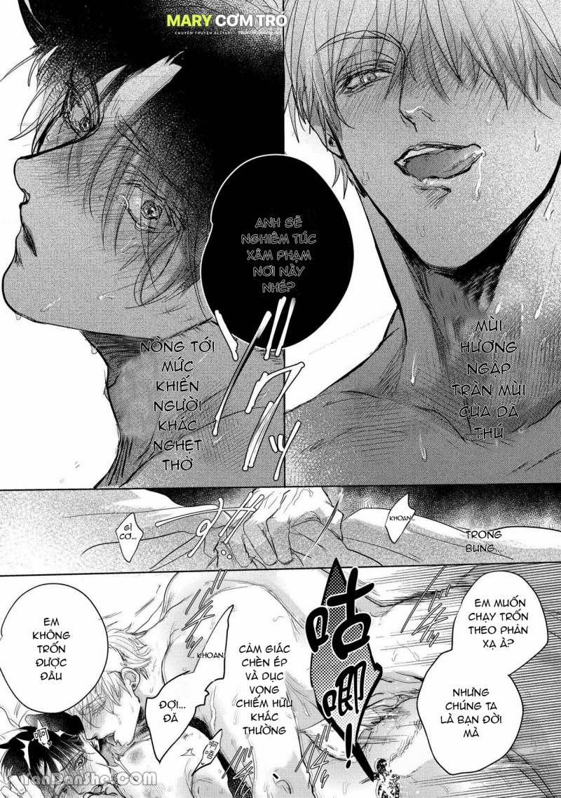 Hôn Nhân Không Gian Dối 1.2 trang 7