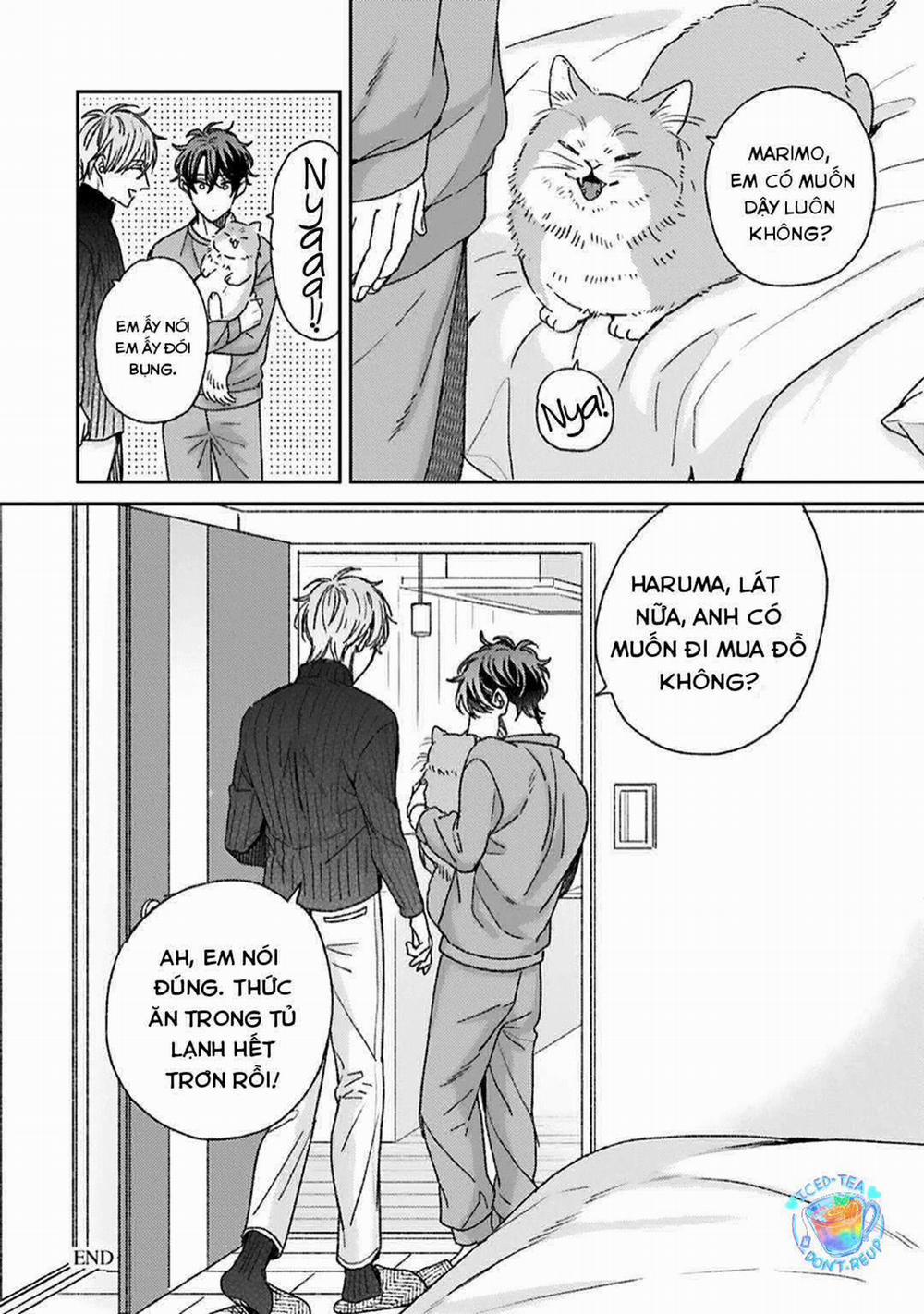 Hôn Nhân Ngọt Ngào Đầy Bất Ngờ 5 trang 29