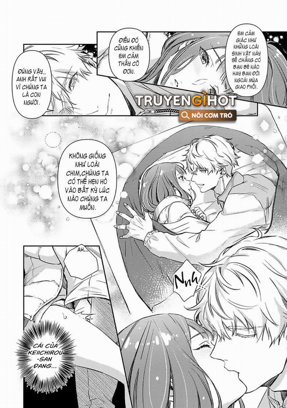 Hôn Nhân Tình Yêu Của Cặp Đôi Konihata 15.2 trang 11