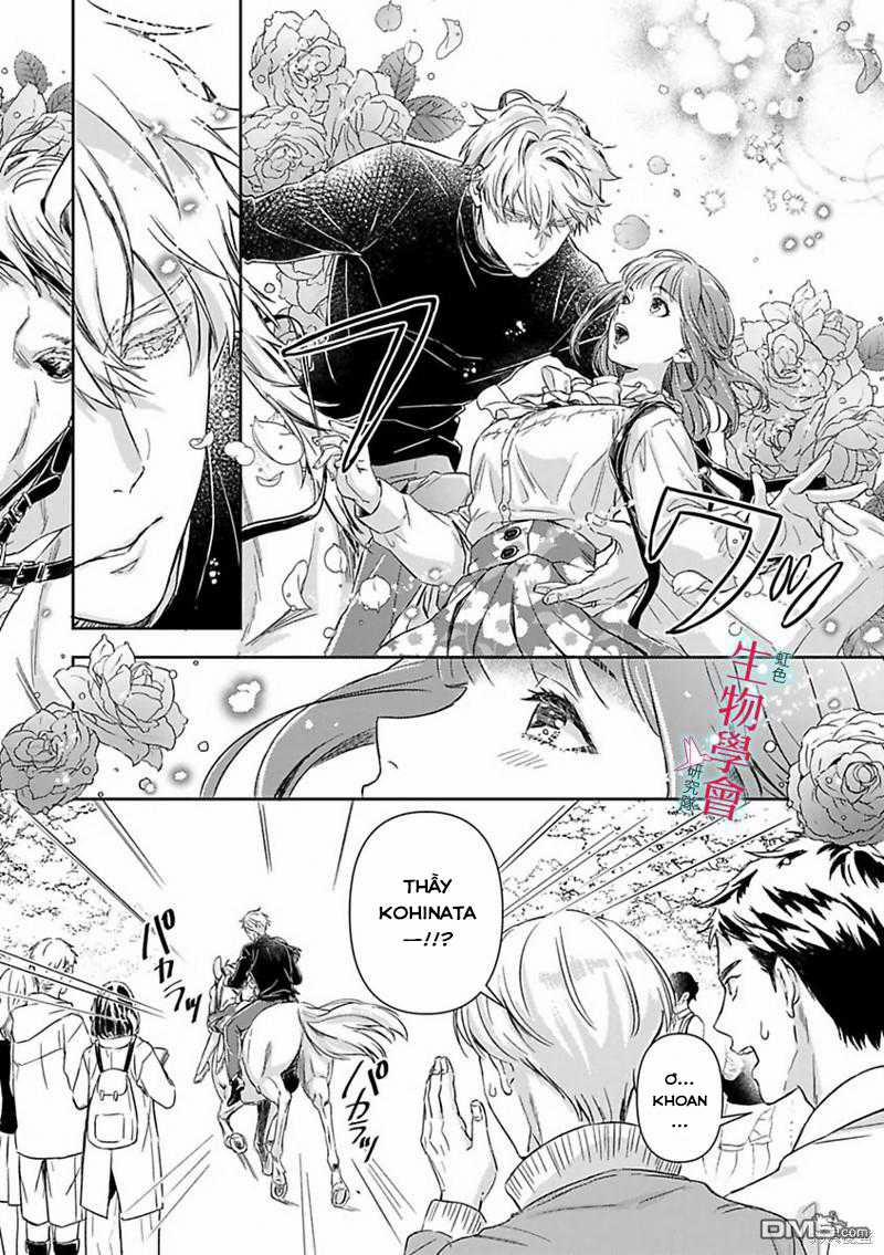 Hôn Nhân Tình Yêu Của Cặp Đôi Konihata 21.2 trang 4