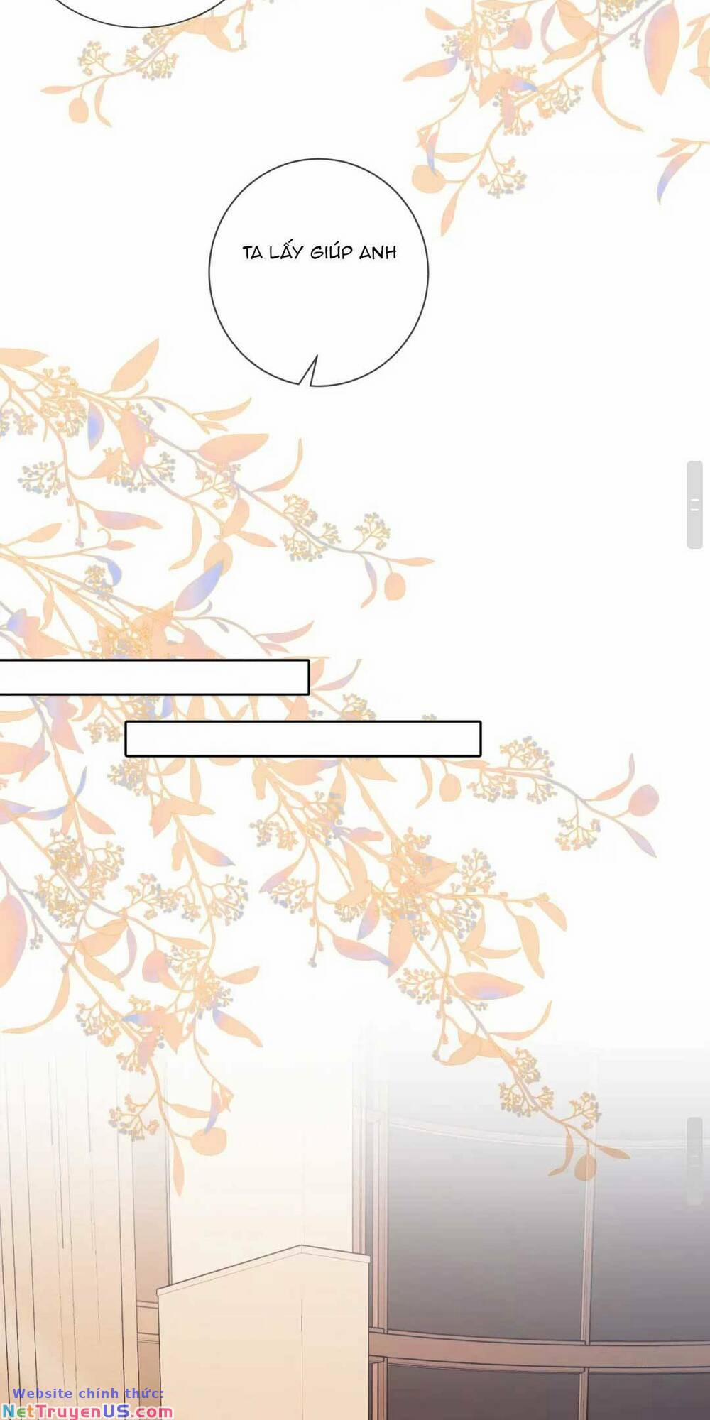 Hôn Sự Ngọt Ngào Đến Tận Xương 5 trang 41