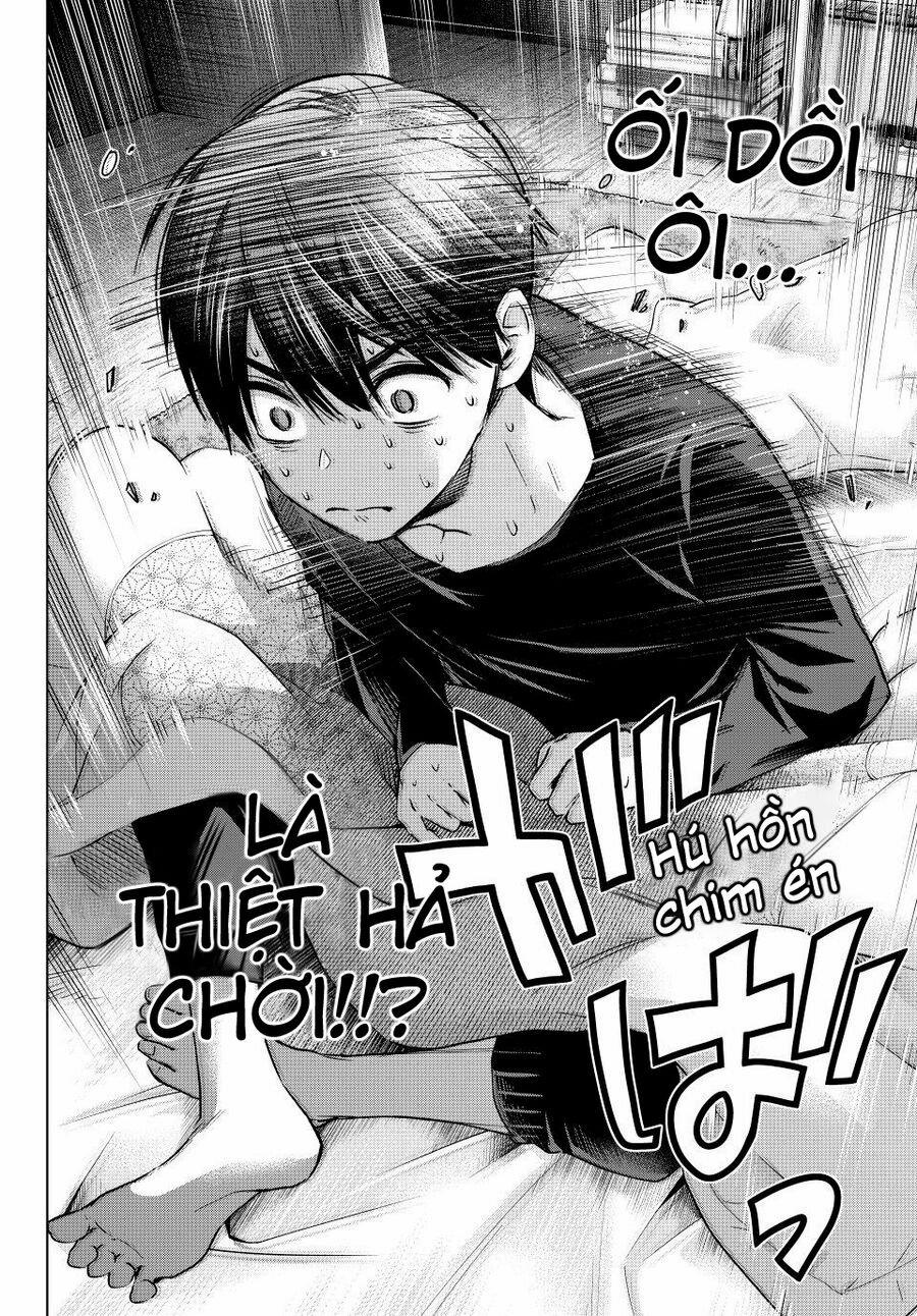 Hôn Thê Cúc Cu 168 trang 10