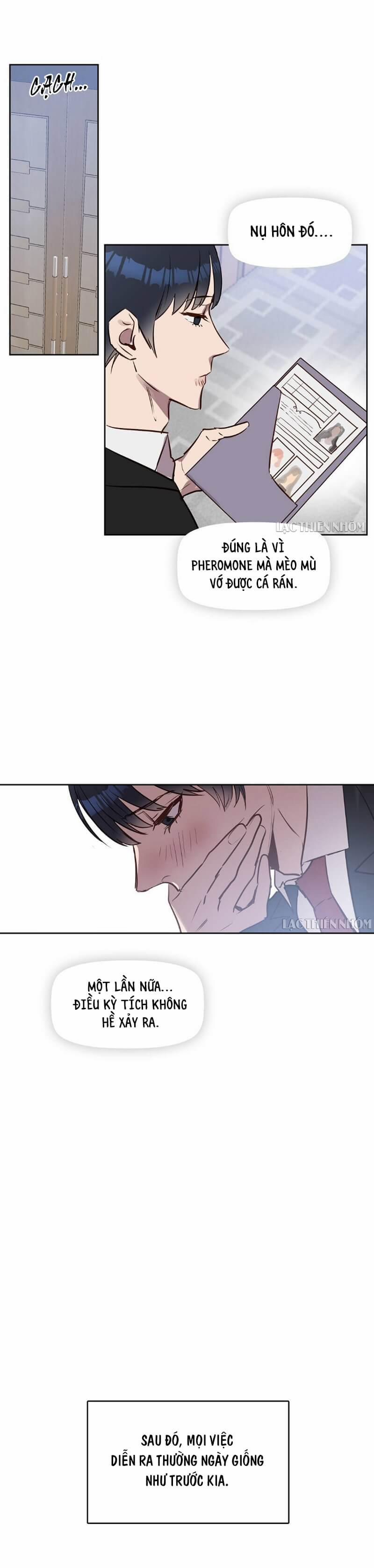 Hôn Tôi Đi, Đồ Dối Trá 5 trang 14