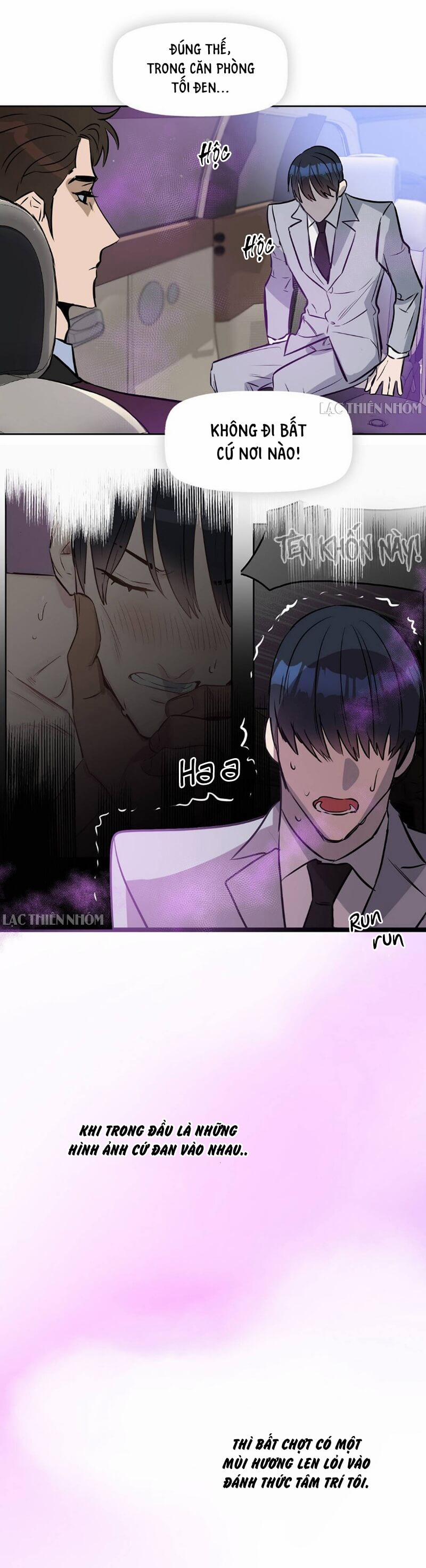 Hôn Tôi Đi, Đồ Dối Trá 7 trang 17