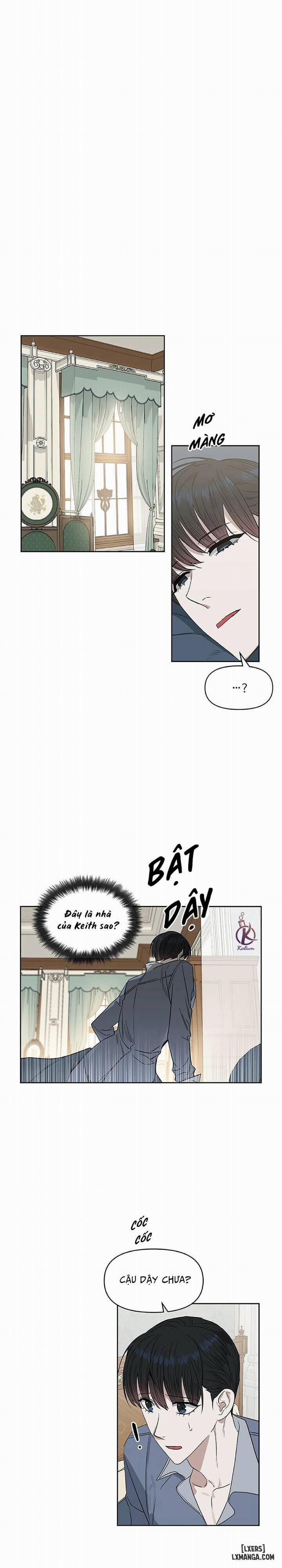 Hôn tôi đi, kẻ dối trá 31 trang 0