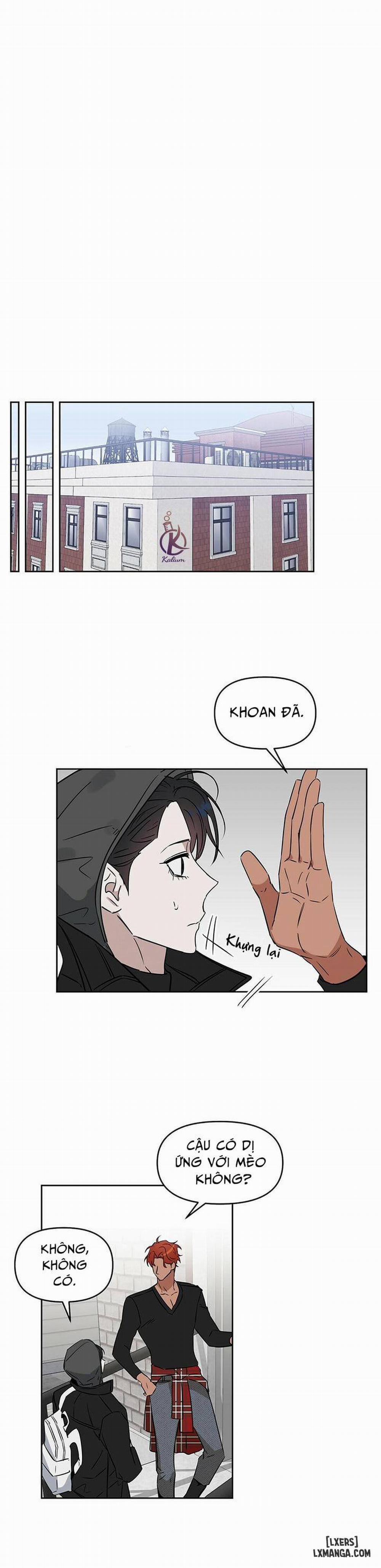 Hôn tôi đi, kẻ dối trá 36 trang 20