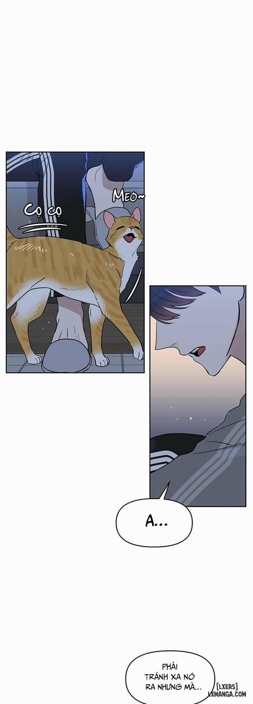 Hôn tôi đi, kẻ dối trá 38 trang 1