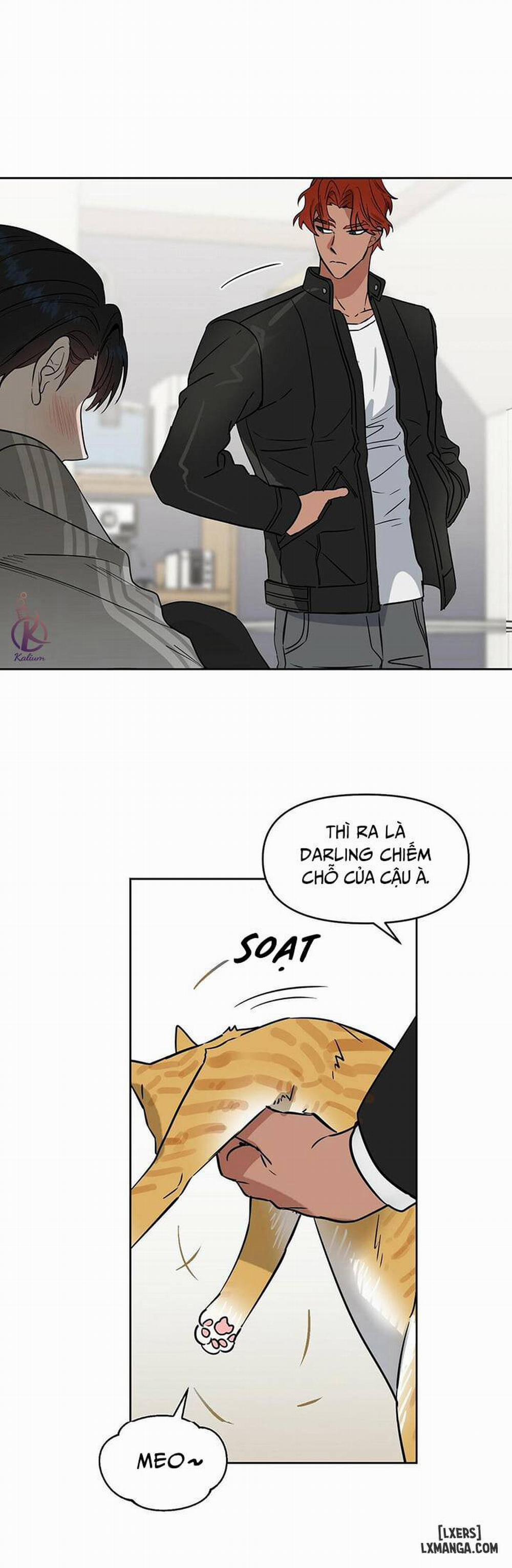 Hôn tôi đi, kẻ dối trá 38 trang 9