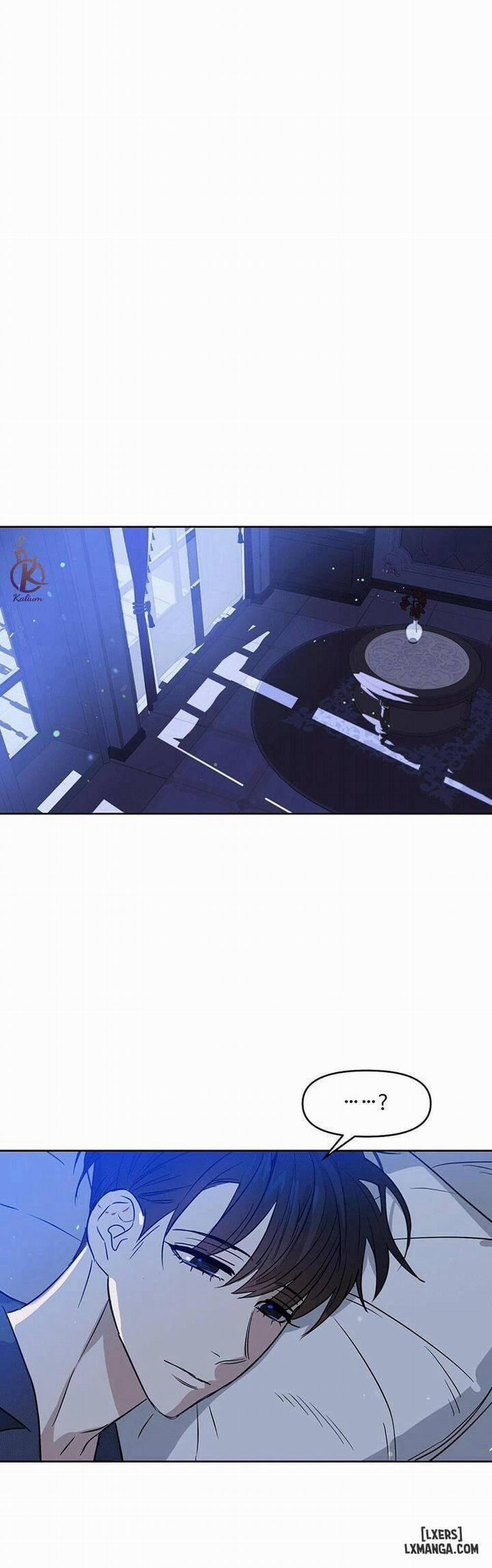 Hôn tôi đi, kẻ dối trá 41 trang 0