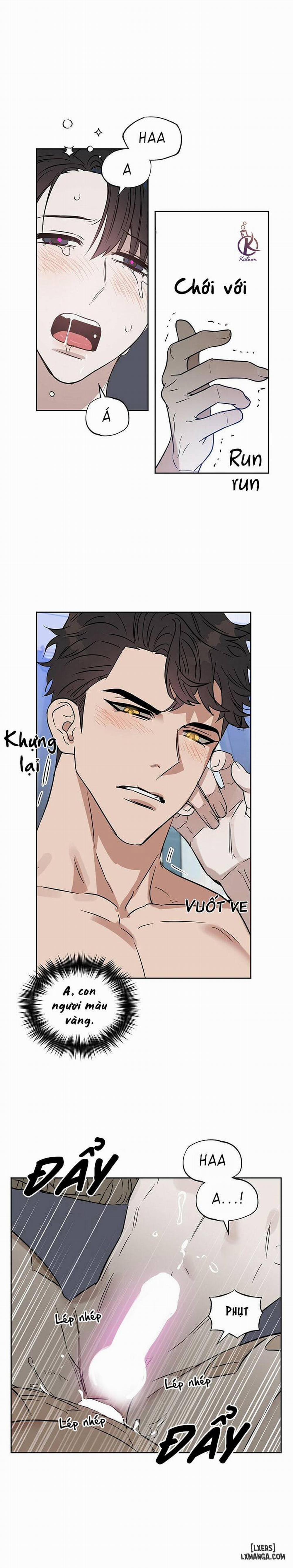 Hôn tôi đi, kẻ dối trá 46 trang 11