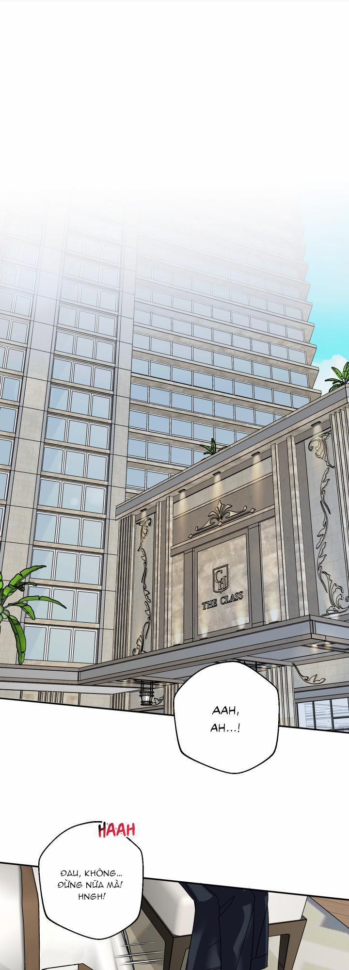 HÔN ƯỚC NÀY LÀ MỘT CẠM BẪY 1 trang 0