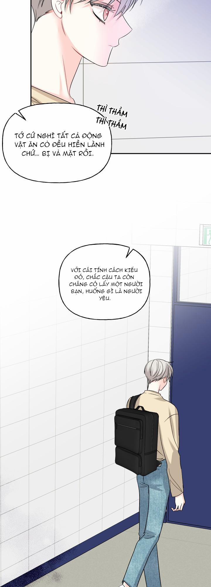 HÔN ƯỚC NÀY LÀ MỘT CẠM BẪY 1 trang 19