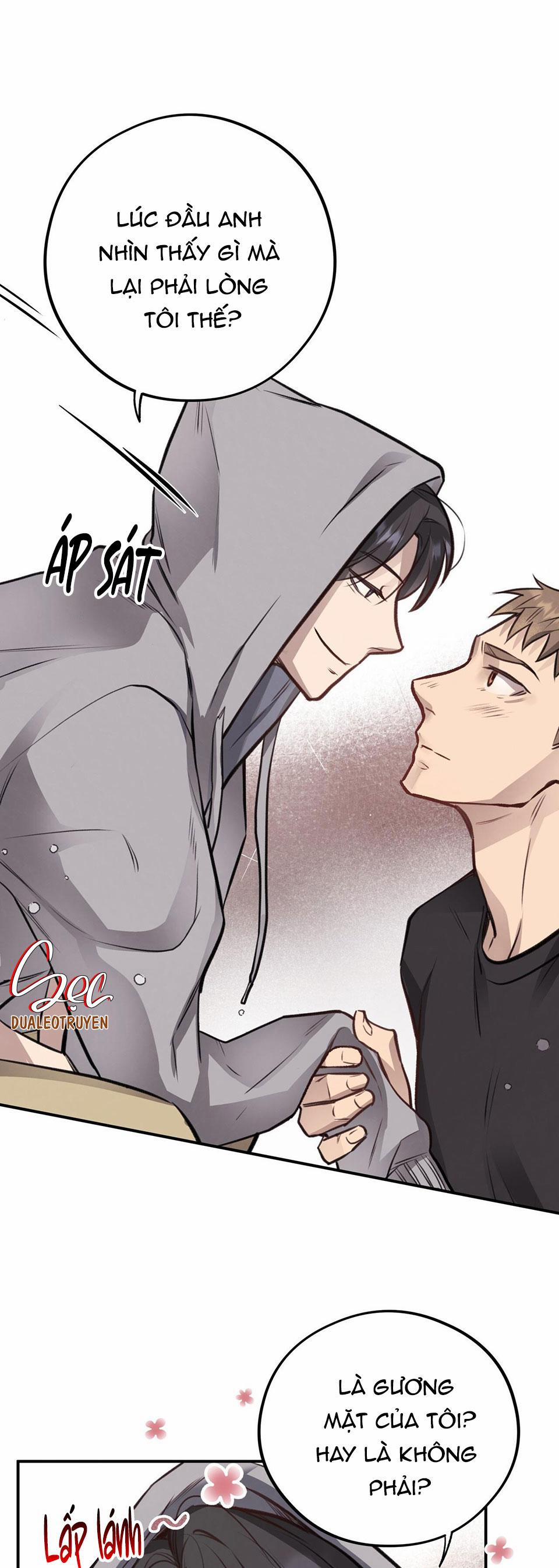 Honey Bear 10 trang 11