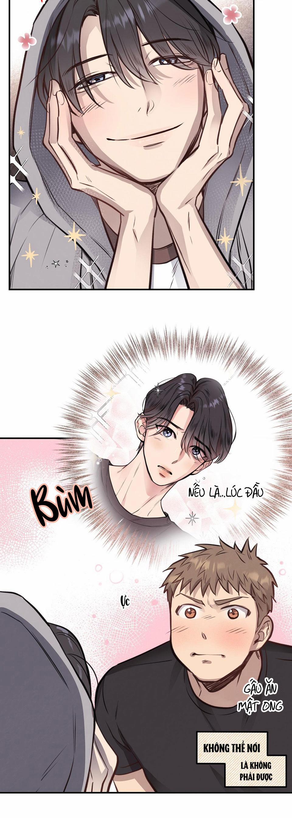 Honey Bear 10 trang 12