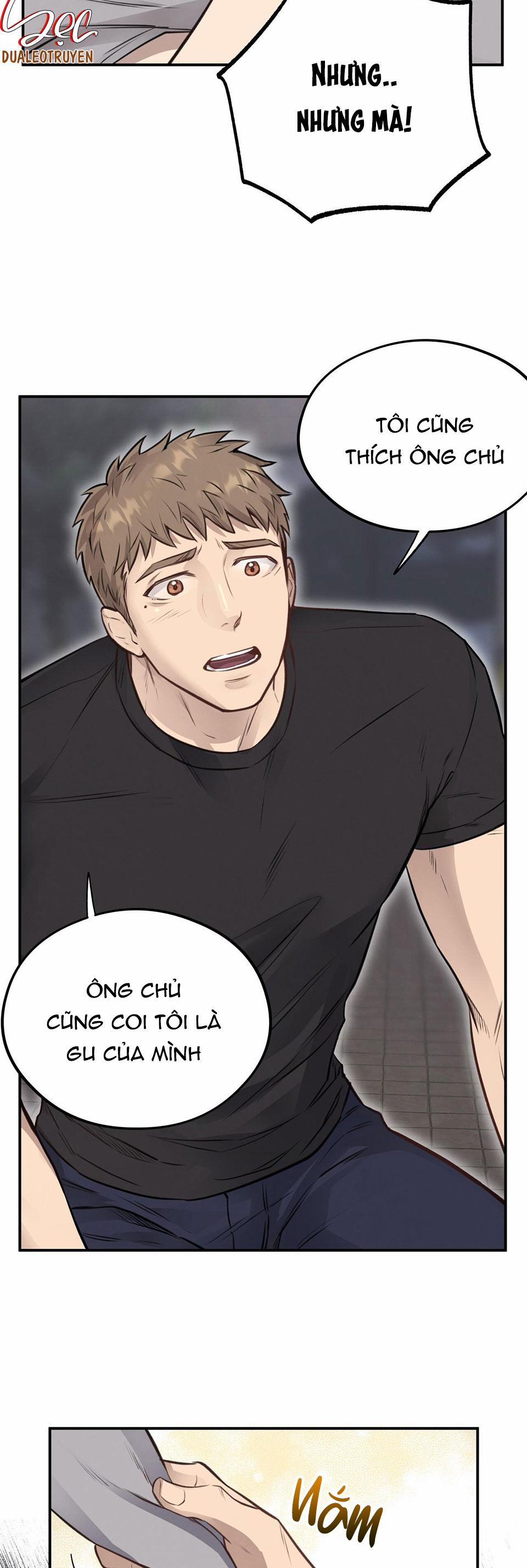 Honey Bear 10 trang 4